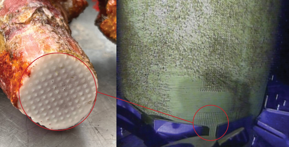 Marine Growth Removal on Flexible Risers – West Africa - Lateral